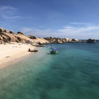 Cam Trai Cu Lao Cau A