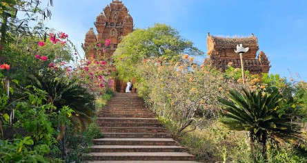 Tour Cần Thơ – Phan Rang – VQG Phước Bình – Cắm Trại Bên Suối 2 ngày 2 đêm