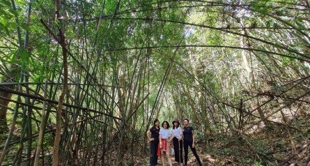 Tour Vườn Quốc Gia Phước Bình 1 Ngày tại điểm: Suối Gia Nhông – Thác Đá Bàn – Trại Bò Tót – Làng Raglai – Bẫy Đá – Trang Trại Cá Tầm