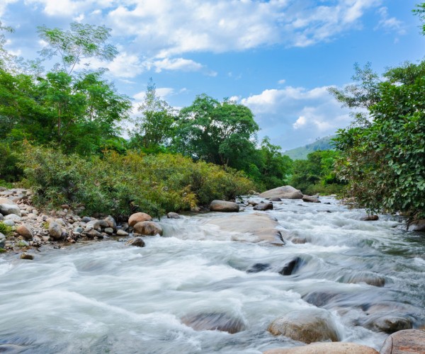 Tourninhthuanbinhthuantucantho 2